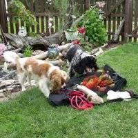 Dogs - Nylon Mesh Storage and Drying Bag - Mesh Duffel Storage Bag