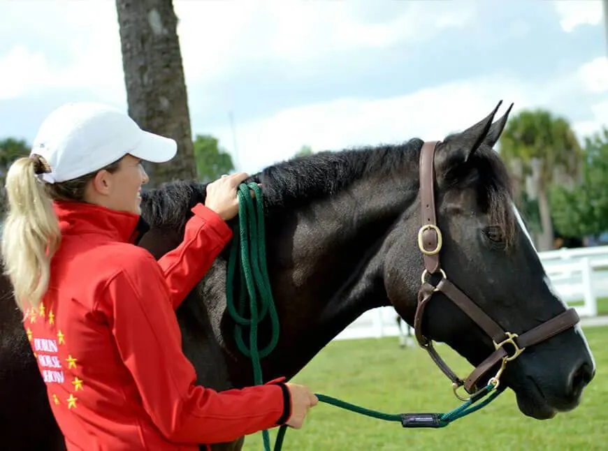 Handler holding a black horse with a green Soft Lines lead rope